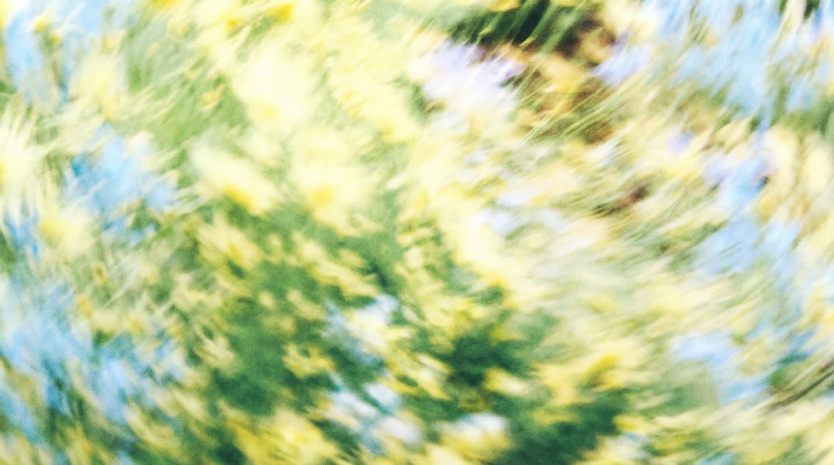 Blurred floral background